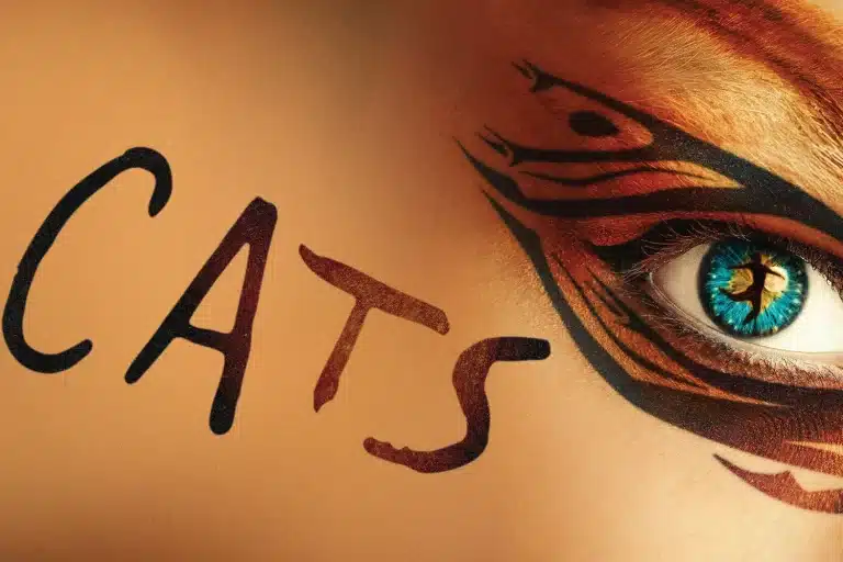 Cats revival confirms full UK tour dates following London run