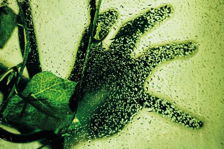 Leeds Playhouse announces queerled Little Shop of Horrors revival for 2024